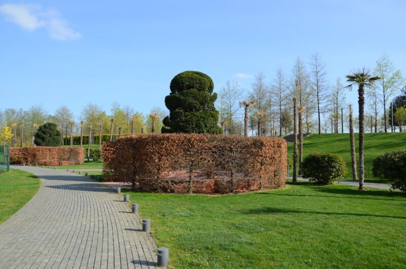 Парк Галицкого