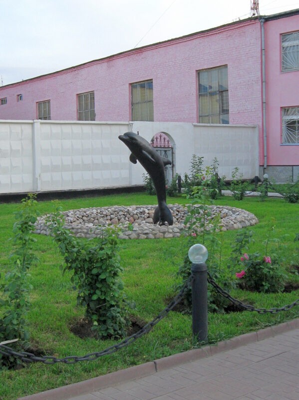 Чёрный дельфин