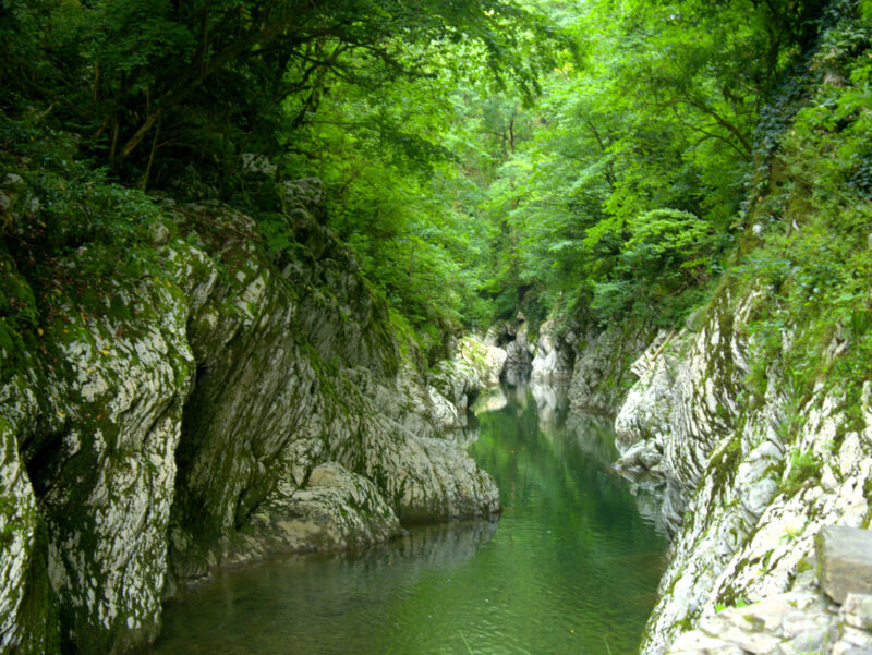 Каньон